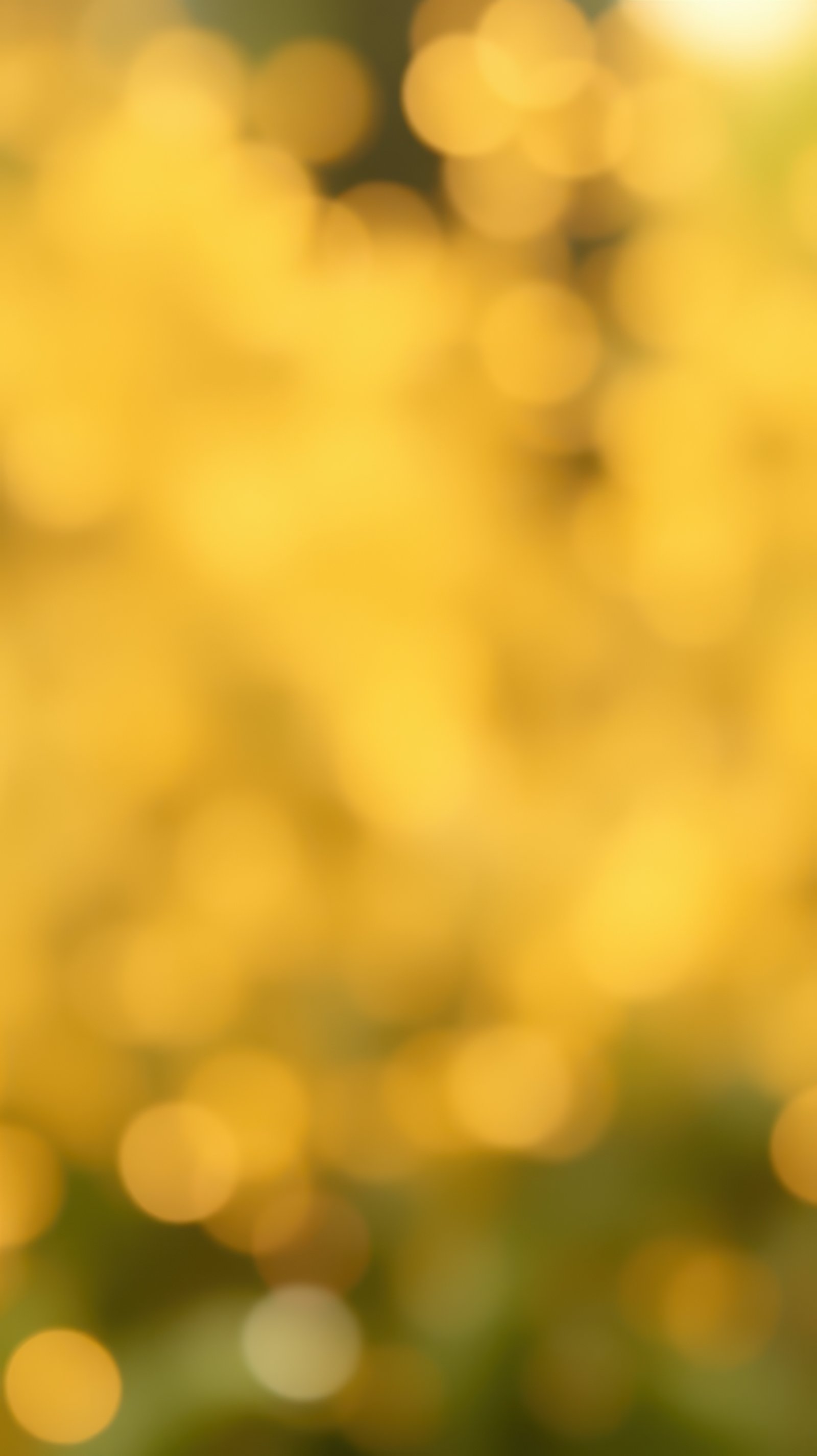 Bright golden bokeh lights create a warm atmosphere during a sunny afternoon in a vibrant outdoor garden setting